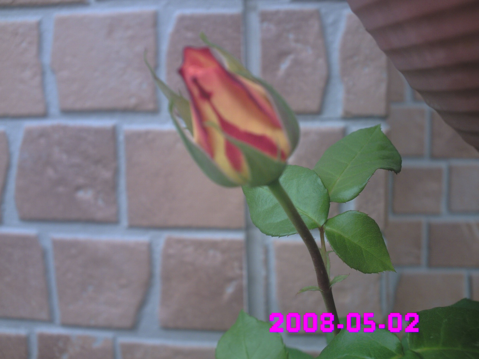 �i�햼�͂킩��܂���