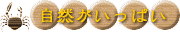 tsukui ���R�������ς�